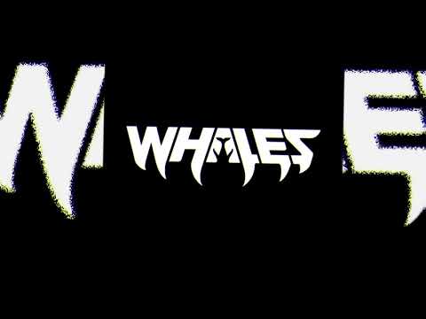 Leotrix - Hive Bounce (Whales VIP)