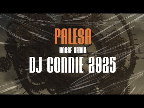 Palesa(House Remix DJ Conie 2025)