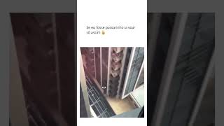 vcs ia fazer assim? kkkk #humor #engraçado #viral #fyp #comedia #tops #furyou #reels #funnyvideos