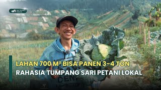 Download lagu Panen 30 Kg per Minggu dari Lahan 700 m² | Inspirasi Petani Mas Eko mp3 Download lagu Panen 30 Kg per Minggu dari Lahan 700 m² | Inspirasi Petani Mas Eko mp3