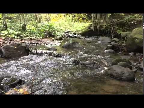 Paraul Galaoaia Slo-mo 2015