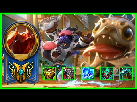 [NA] ALICOPTER - ALISTAR MONTAGE - BEST ALISTAR