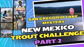 No Fish Survive Here? We Put That to the  Test | Cutthroat Trout Challenge Pt. 2 #cutthroattrout