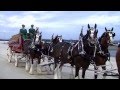 Budweiser Clydesdales & Two Wheel Thunder TV ...
