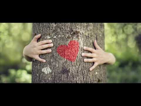 Tagesdosis 02.11.2019 - Raus aus der Krise, rein in eine Politik der Liebe (kV)