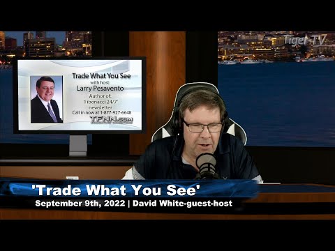 September 9th, Trade What You See with David White on TFNN - 2022