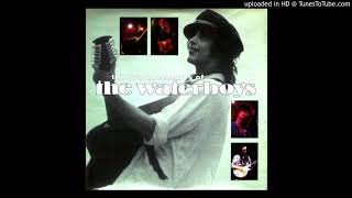 The Waterboys - the wayward wind* (live)