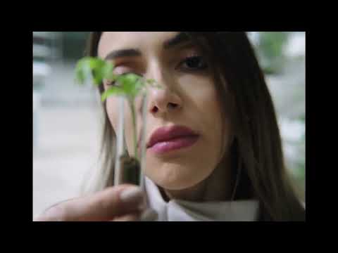 We Challenge All Limits