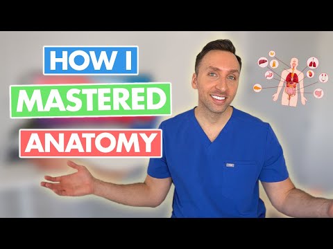 How I Memorized ALL Anatomy
