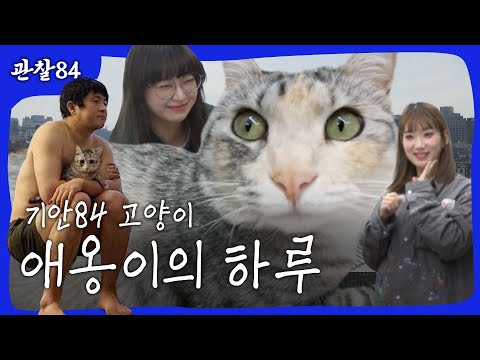[기안84] 애옹이의 하루