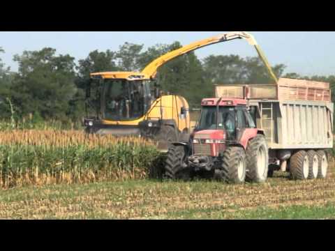 DOMINONI MPD 610 NEW HOLLAND FR9080 SORGO