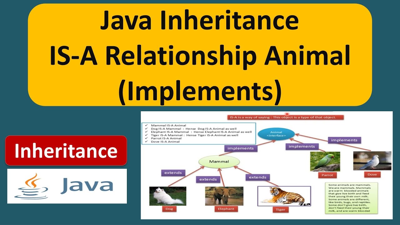 Java Inheritance IS-A Relationship Animal (Implements) | Java Tutorial