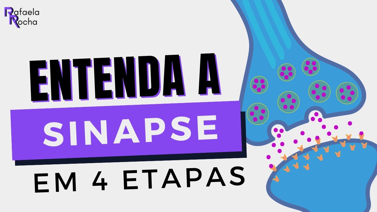 COMO A SINAPSE e o potencial de ação ACONTECEM!