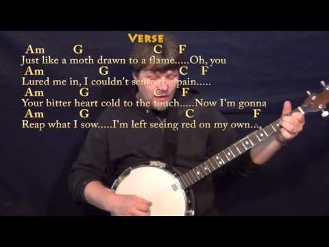 Stitches (Shawn Mendes) Banjo Cover Lesson in C with Chords/Lyrics