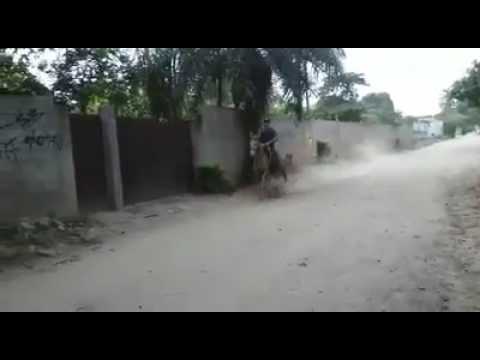 Marcha picada , thiago Leal.