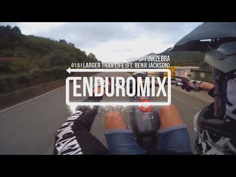 Pinkzebra - Larger Than Life (Ft. Benji Jackson) (querly)