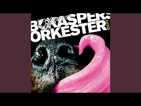 Den enda som ser - Bo Kaspers orkester