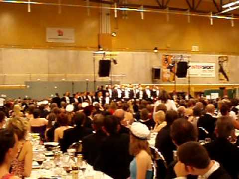 NSSS 2011 Gala Dinner - "It's raining men"