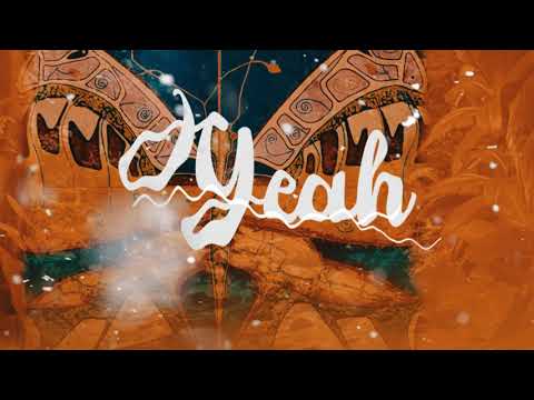 16 cenas -Pseudo Metamorphosis (prod Aminoácido)