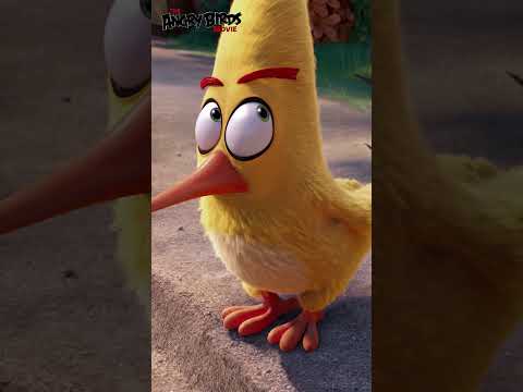 The Angry Birds Movie: Maybe It Wasn't Ice Cream (FAMILY MOVIE #SHORTS)