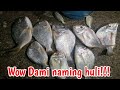 PALIGSAHAN KAMING TATLO SA PAGHULI ISDANG BAKOKO