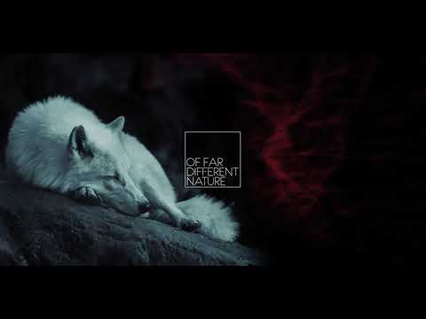 Electronic Exploration #2: Zufall | feat. Aparillo by Sugar Bytes