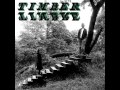 No Bold Villain by TIMBER TIMBRE 