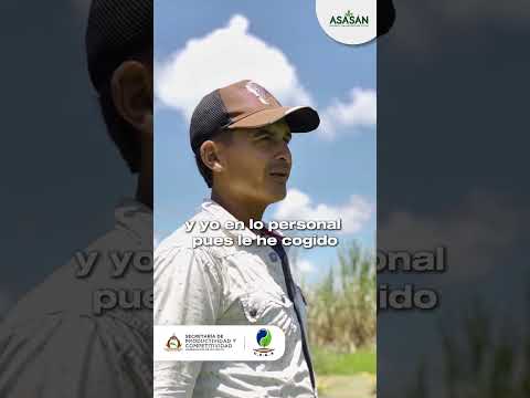 ASASÁN: Fuerza campesina en Puerto Leguízamo | Agricultura y futuro para el Putumayo 🌱