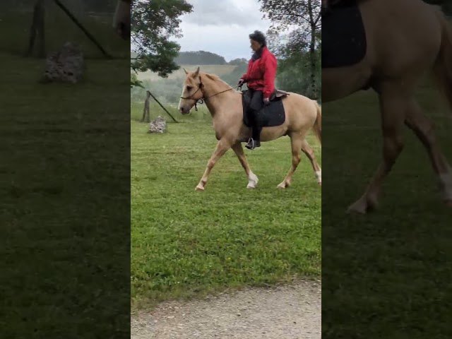 Rocky Mountain 10 ans