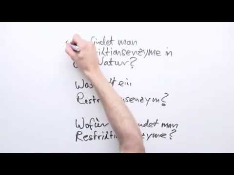 Gut erklärt: Restriktionsenzyme | Biologie | Genetik