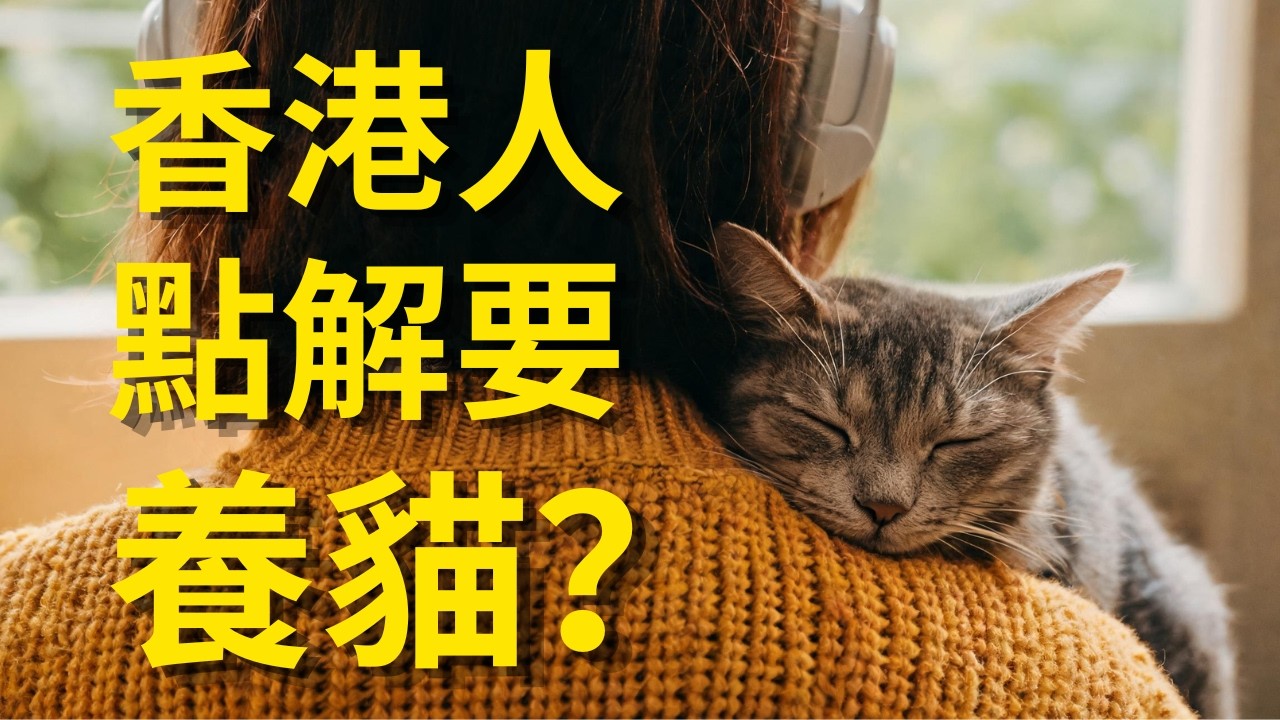 點解香港人愈來愈鍾意養貓？未必淨係因為佢哋可愛，其實仲有其他原因