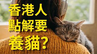 點解香港人愈來愈鍾意養貓？未必淨係因為佢哋可愛，其實仲有其他原因