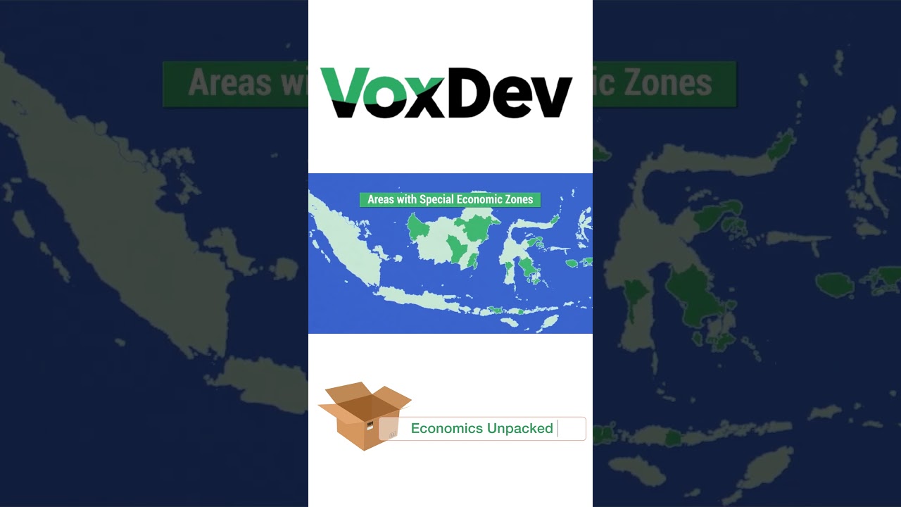 Do Special Economic Zones automatically boost local growth? #economics #policy