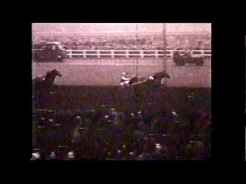 Prix d'Amérique 1953_Permit_Walter Heitmann_the best Prix d'Amérique winner