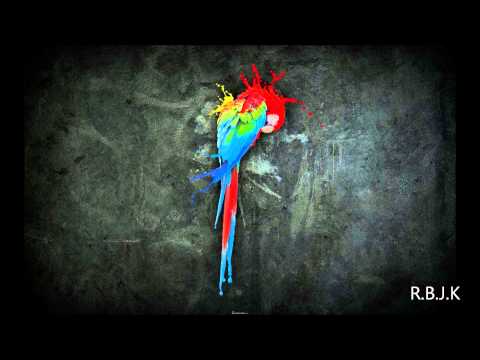 D rashid ft tyrah morena seu amigo blasterjaxx remix