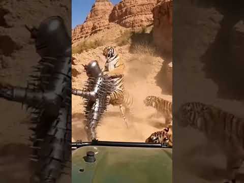 A Tiger meets a human hedgehog! 🐅🦔