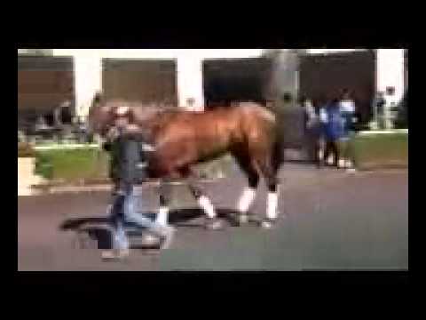 Wicked Strong schooling