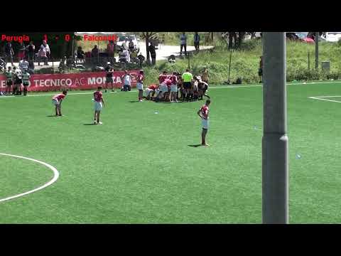 Rugby Perugia Junior  -  Falconati-Ancona Rugby  (U14)  -  26.05.2024 (5-0)