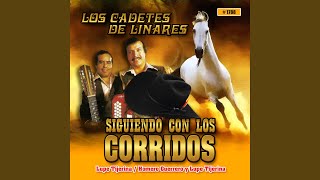 El Retorno De Chito Cano