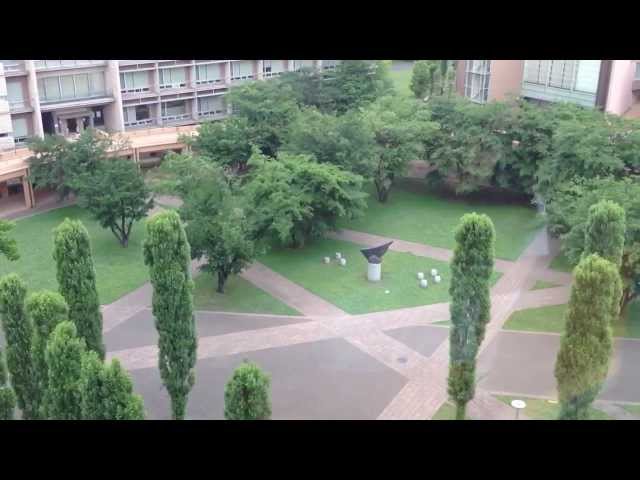 Tokyo University of Foreign Studies видео №1