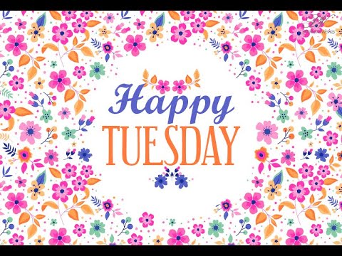 Good Morning Tuesday Video - Happy Tuesday e Greetings