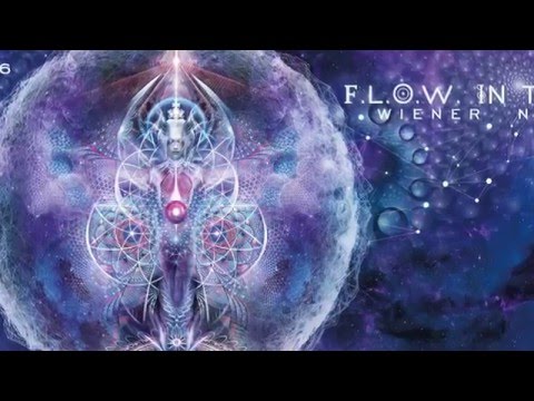 TALIESIN LIVE @FLOW IN THE SNOW 2016