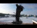 Animated Tornado Video