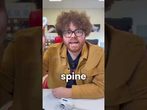 Acquistalo dal mio Link Affiliato Amazon!!! #adv https://amzn.to/43oaAaG  #dpmtapes #multipresa