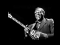 Albert King - Overall Junction - 1989