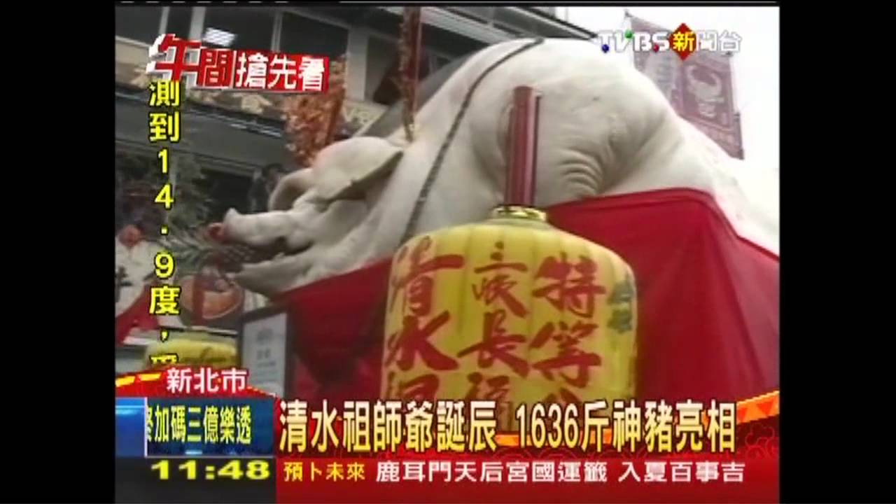 清水祖師爺誕辰 1636斤神豬亮相