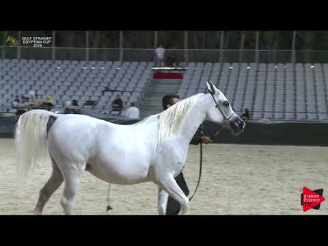 110 SHARIFA AL ADEED   Gulf SE Cup 2018