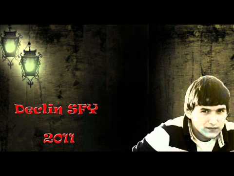 Declin SFY - 2011 Snippet