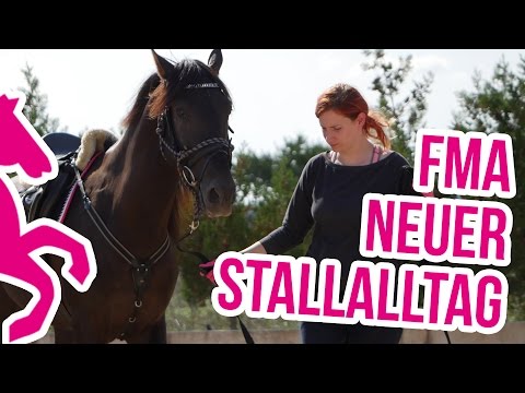 FMA Mein Stallalltag mit neuem Pferd