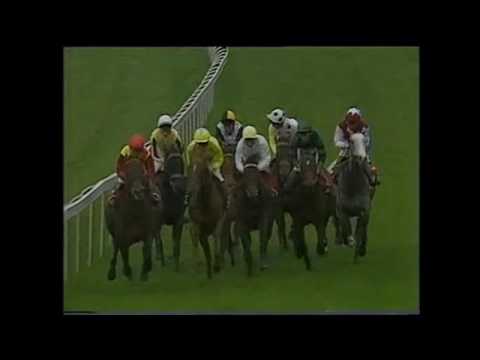 1989 Gordon Richards Stakes Indian Skimmer